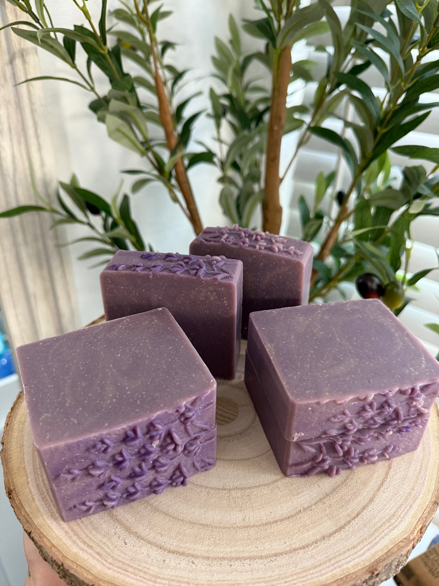 Lavender