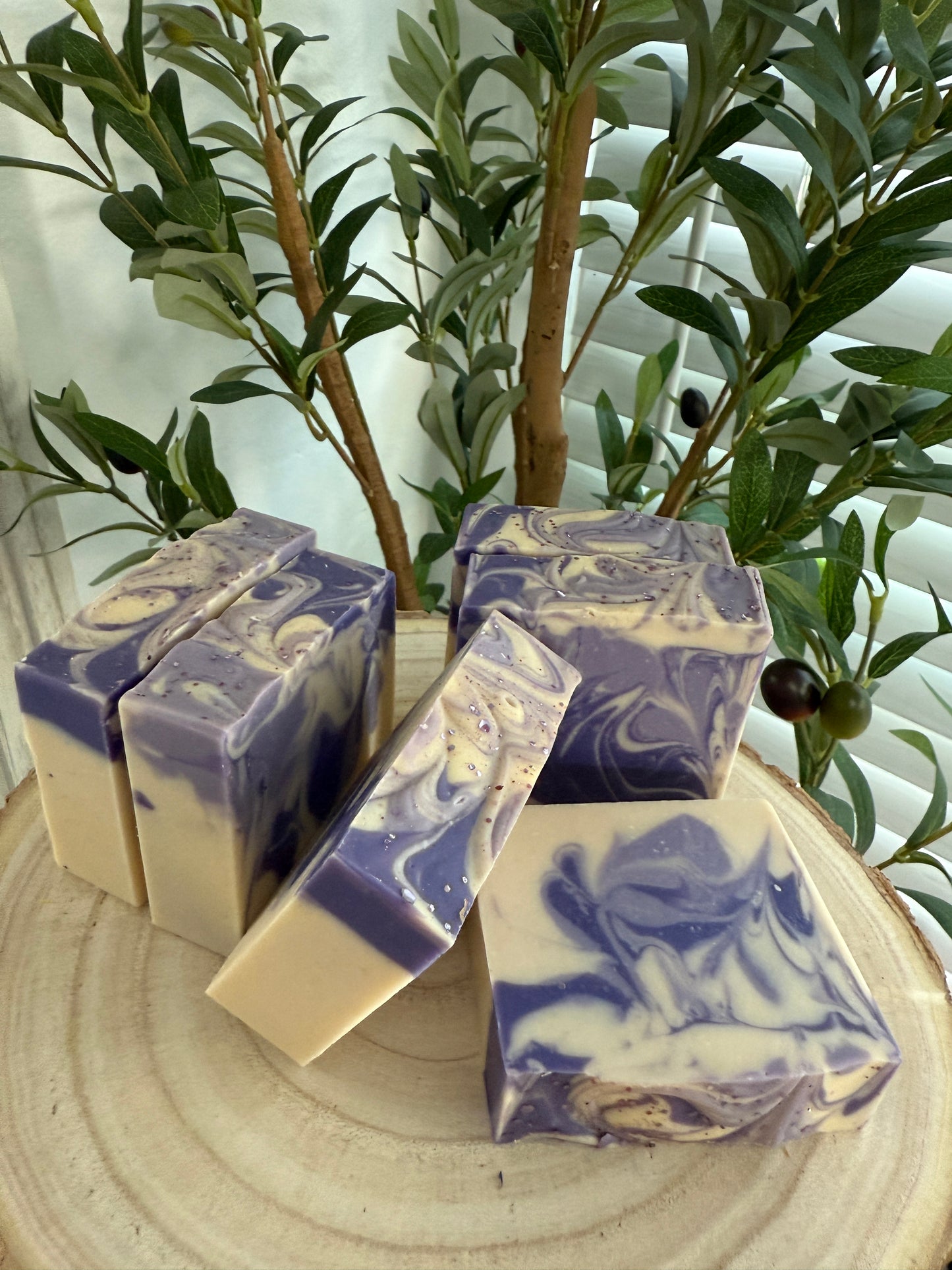 Black Raspberry Vanilla Goat's Milk Tallow